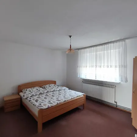 Prenociste Borik *
